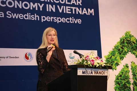 Sweden willing to share knowledge of low-carbon circular economy with Vietnam: Amb.