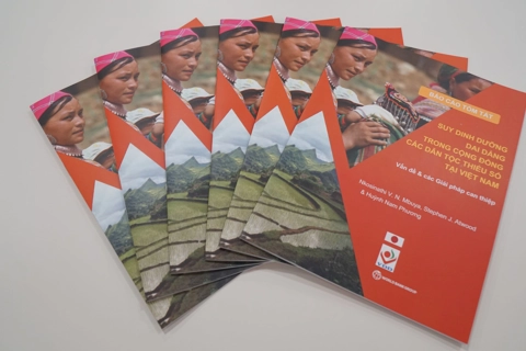 Vietnam: Ethnic minority children are disproportionately undernourished