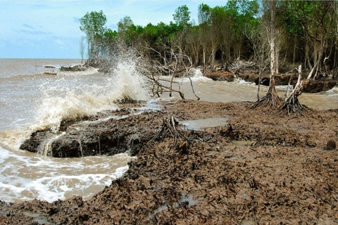 Vietnam effectively enforces treaties on climate change response