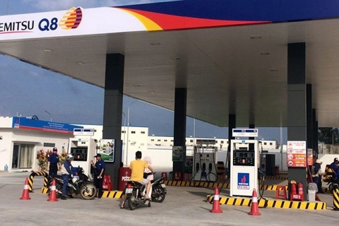 Vietnam considers allowing foreign ownership in petroleum firms