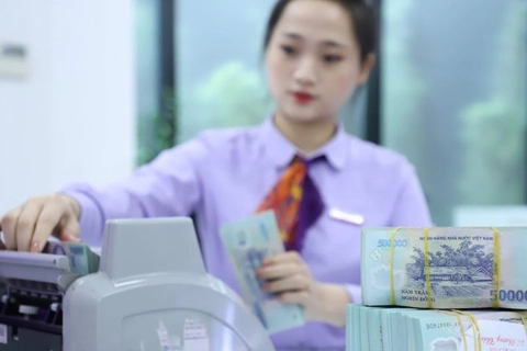 Vietnam’s credit growth slows down amid strong GDP expansion 