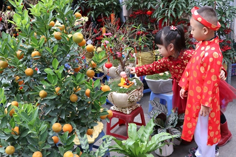 Tet in a Hanoi family: Out with the old, in with the new