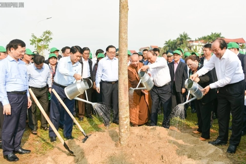 Hanoi strives to plant 200,000-250,000 new trees