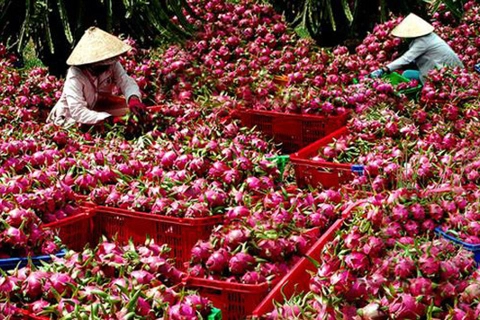 Vietnam agricultural sector considered most vulnerable to nCoV