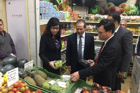 Vietnam promotes farm exports to India