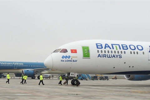 Vietnam’s first airline suspends flights to S.Korea