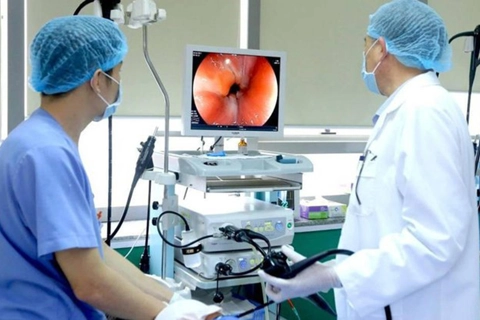 EVFTA spices up German healthcare companies’ appetite for Vietnam