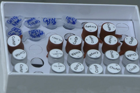 Vietnam’s scientists successfully develop quick coronavirus test kit