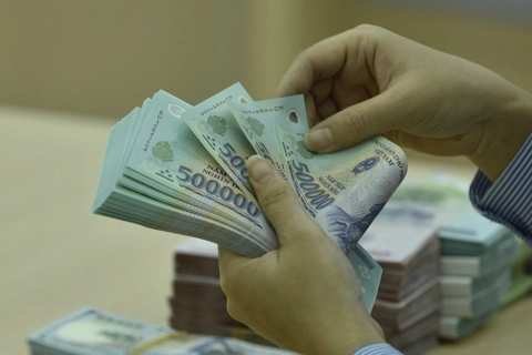 VND more resilient compared to regional peers amid Covid-19: VinaCapital
