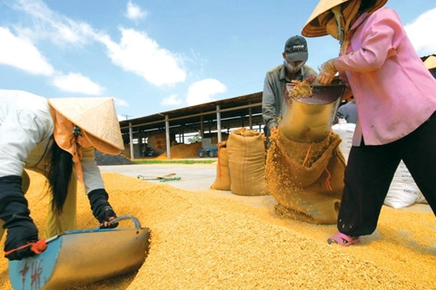 Vietnam PM agrees to resume rice export in April