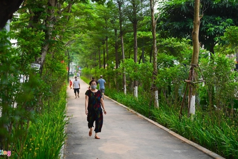 Hanoi's new leafy walkway enriches greenery