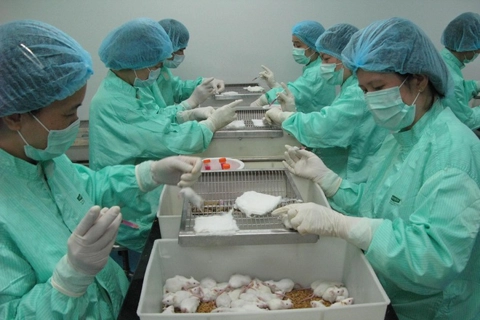 Vietnam to test the second batch of Covid-19 vaccine on mice