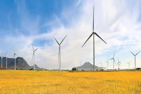 Vietnam wind sector to see growing opportunities: Fitch Solutions