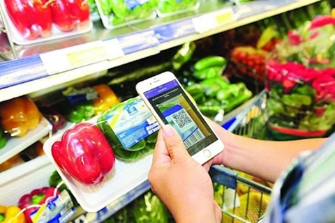 Vietnam yearns to be among top 50 countries in e-government by 2030