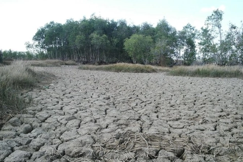 WB provides US$84.4 million for Vietnam to promote climate-resilient landscapes
