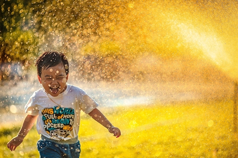 Reform state-owned enterprises to avoid a Covid-19 debt and investment crisis