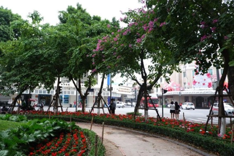 Tree planting campaign significantly improves Hanoi’s environment