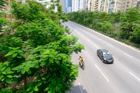 Hanoi develops greenery system to freshen living environment