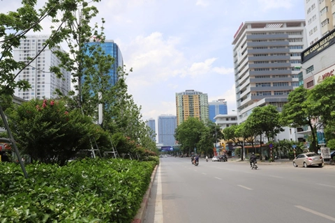 Hanoi plants around 67,700 trees in H1