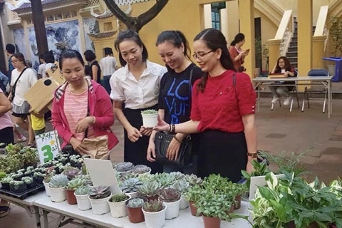 Hanoi replicates creative methods to combat plastic waste