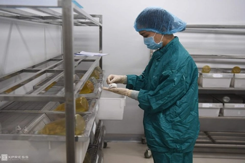 Made-in-Vietnam Covid-19 vaccine may be ready by end-2021