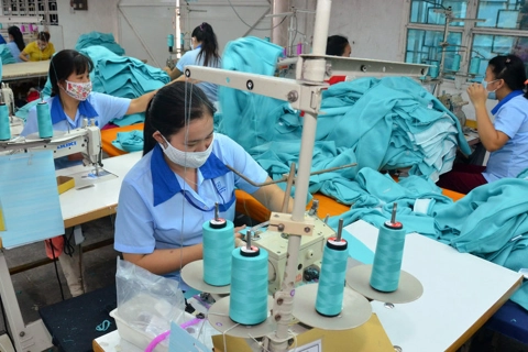 Finalization of legal framework needed to accelerate SOE privatization: Vietnam DPM