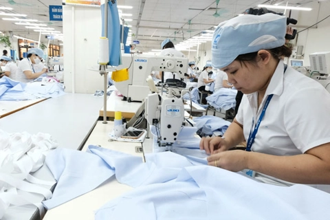 Keeping positive economic growth would be a success for Vietnam: Expert