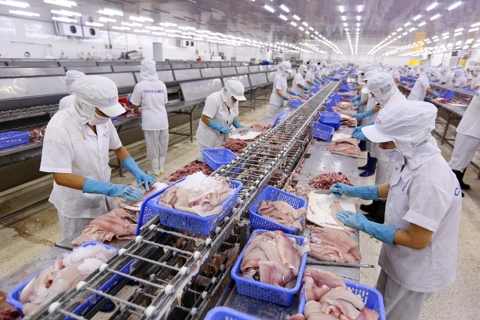 Vietnam seafood perfectly well placed to benefit from EVFTA