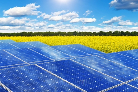 How world experts advise Vietnam to accelerate 13GW of solar power?