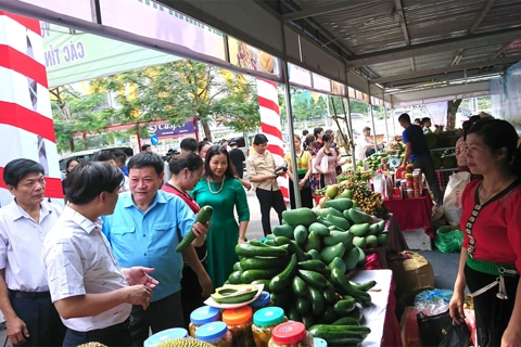 Hanoi sets up 28 stores for selling goods in upcoming Tet