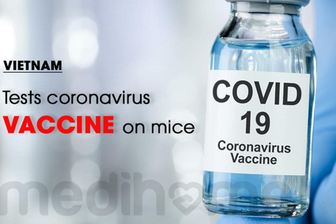 Vietnam may start human trial of Covid-19 vaccine this month