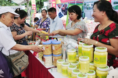 Vietnamese goods under pressure from FTAs