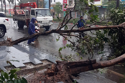 Storm Etau weakens, another typhoon looms in South China Sea