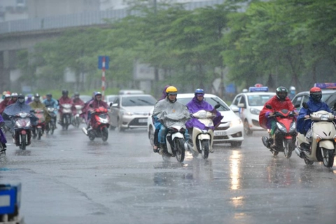 Hanoi to experience cold and rainy weather in coming days