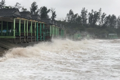 Typhoon Vamco brings chaos to central Vietnam