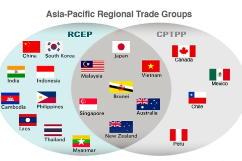 RCEP: Regional free trade pact with profound impacts on the world