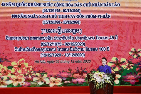 Vietnam top leaders attend anniversary of Lao National Day