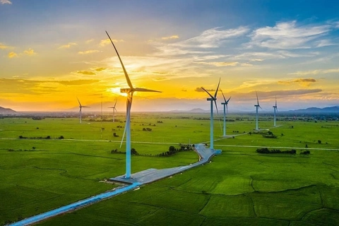 Vietnam might lose position of leading SE wind market: GWEC 