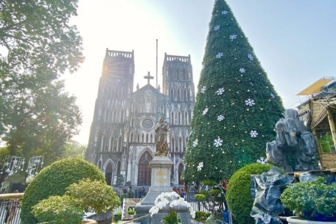 Close-up of "giant" Christmas trees in Hanoi