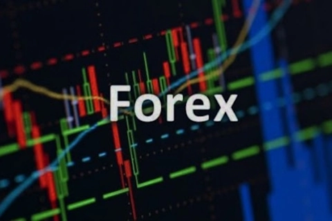 Illegal forex activities face fines up to $216,000