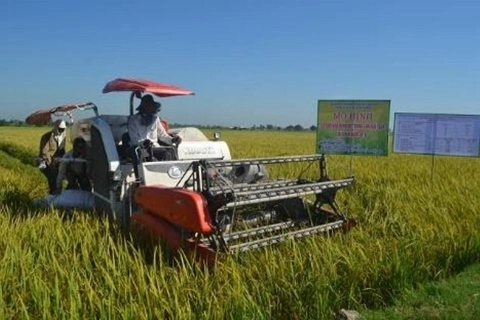 Ung Hoa focuses on developing collective economy