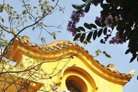 Urgent conservation of old French villas in Hanoi - Part 1: A series of works damaged