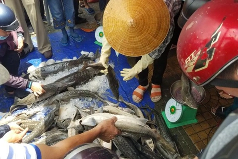Vietnam agricultural ministry urges tightening of sturgeons imports