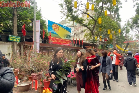 Hanoians to celebrate Tet in cold weather