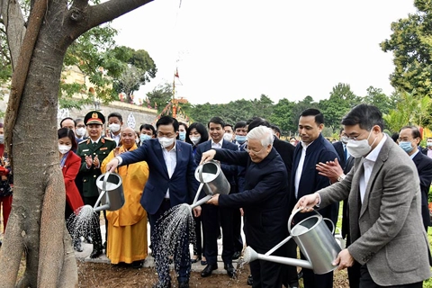 Tree-planting festival: Meaningful campaign in Vietnam in New Year 