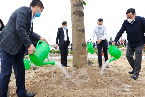 Hanoi responds to program of planting one billion trees