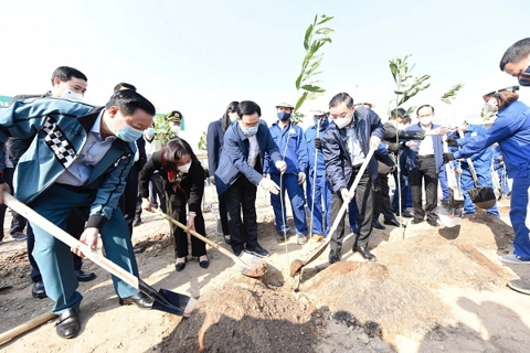 Hanoi: Lunar New Year 2021 tree-planting festival inaugurated 