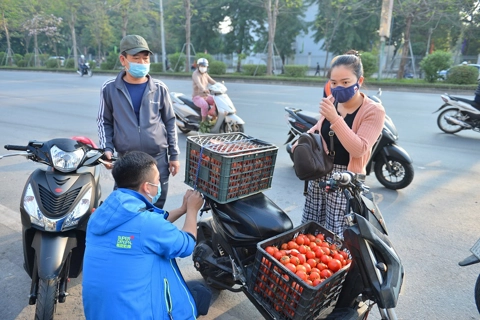 Hanoians join hand to “rescue” Hai Duong’s farm produce 