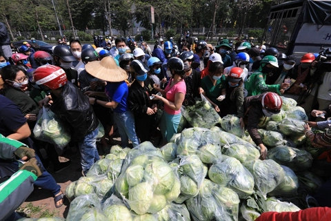 Trade ministry urges clearing hurdles for sales of Hai Duong farm produce