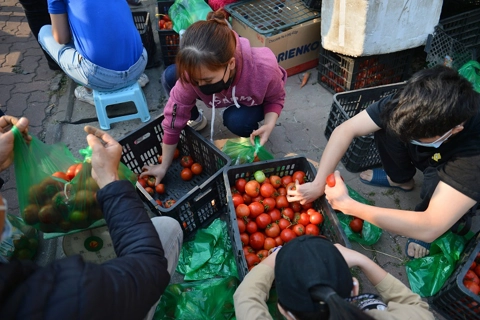 “Rescue” agricultural products from Hai Duong province - kindheartedness arose